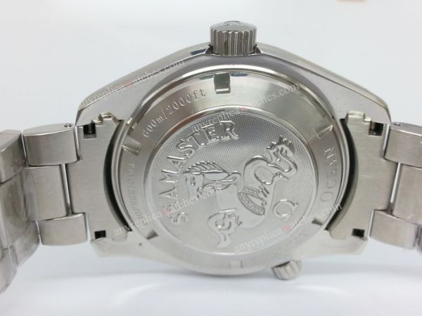 Omega Planet Ocean Omega Seamaster Black dial For Men WATCHES 2